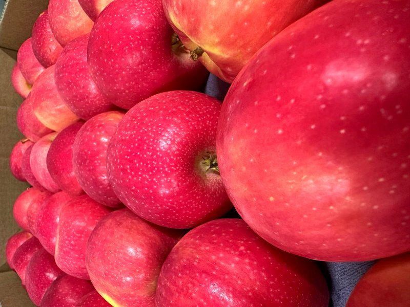 Manzanas frescas FRUAGRO